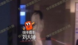 刘大锤爆料瓜是真的吗视频,真相揭秘，视频内容深度解析