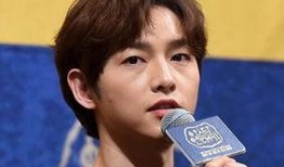 宋仲基新闻最新爆料,细节揭秘引网友热议